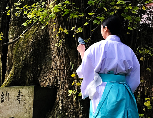 ご挨拶